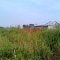Rencana Perumahan Di Sungai Uwe ( Gg. Bosowa, Desa Jone, Tapis )