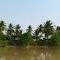 Rumah Dengan Pepohonan Kelapa Di Desa Belebak ( 7 Okt 2012, Pic Taken With Phone GPS )