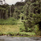 The Pengian River on the way to Long Betaoh