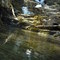 Sanderson Brook - Chester/Blandford State Forest