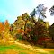 Rabbit Rock