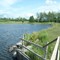Hawkins Mill Pond Park