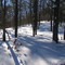 Quashnet Conservation area, Mashpee