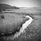 Cold Winter's Marsh