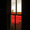 Looking out