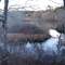 DSC06228sp Nickerson State Park 11/28/07 - N view