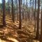 Sunny slope midway through makwa trail in camba system