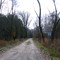 Rustic Road