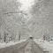 Late April Snowstorm in Appleton