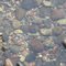 Rocks off the point