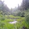 Stella Creek