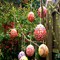 Easter Garden