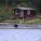 Uganik Lake cabin