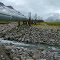 Alaska Pipeline