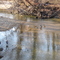 Henson Creek