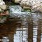 Creek at Cosca Regional Park