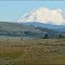Mount Rainier in morning light - 201306LJW