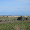 Looking E to basalt erratics in "Boulder Park" on Dyer Hill (Ice Age Flood area)