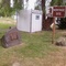 Buffington Park