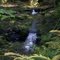 Barrier Falls, Gnat Creek