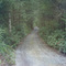 Our Driveway
