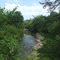 Greenbrier river from back river road Durbin