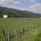 Along US 250