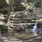 Upper Falls of Mill Run