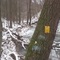 Boundary along Mill Run of Nathaniel Mountain WMA