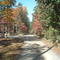 WV Autumn Road