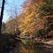 Pinnacle Creek