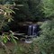 Twin Falls
