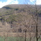 New River Near Glen Lyn