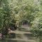 Lonely River