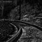 Train Tracks Little Coal River Area