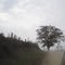 Dirt Road