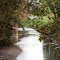 Autumn on Elk Creek