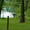 McCoy's ferry camp ground