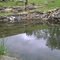 Lambert's Winery Pond