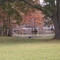 Bayou DeSiard