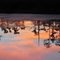 Sunset at Black Bayou Lake NWR