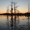 Sunset at Black Bayou