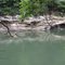 North Branch Swimming hole near Schell