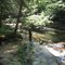 Potomac State Forest