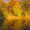 Bruceton Mills Autumn Colors