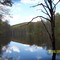 Mill Pond