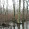 Meadow River Wildlife Management Area, WV