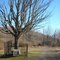 Lee's Tree on Sewell Mountain, Maywood, WV