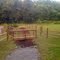 Rain Garden/Wetland at Meadow River Community Park