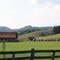 Dawson Barn